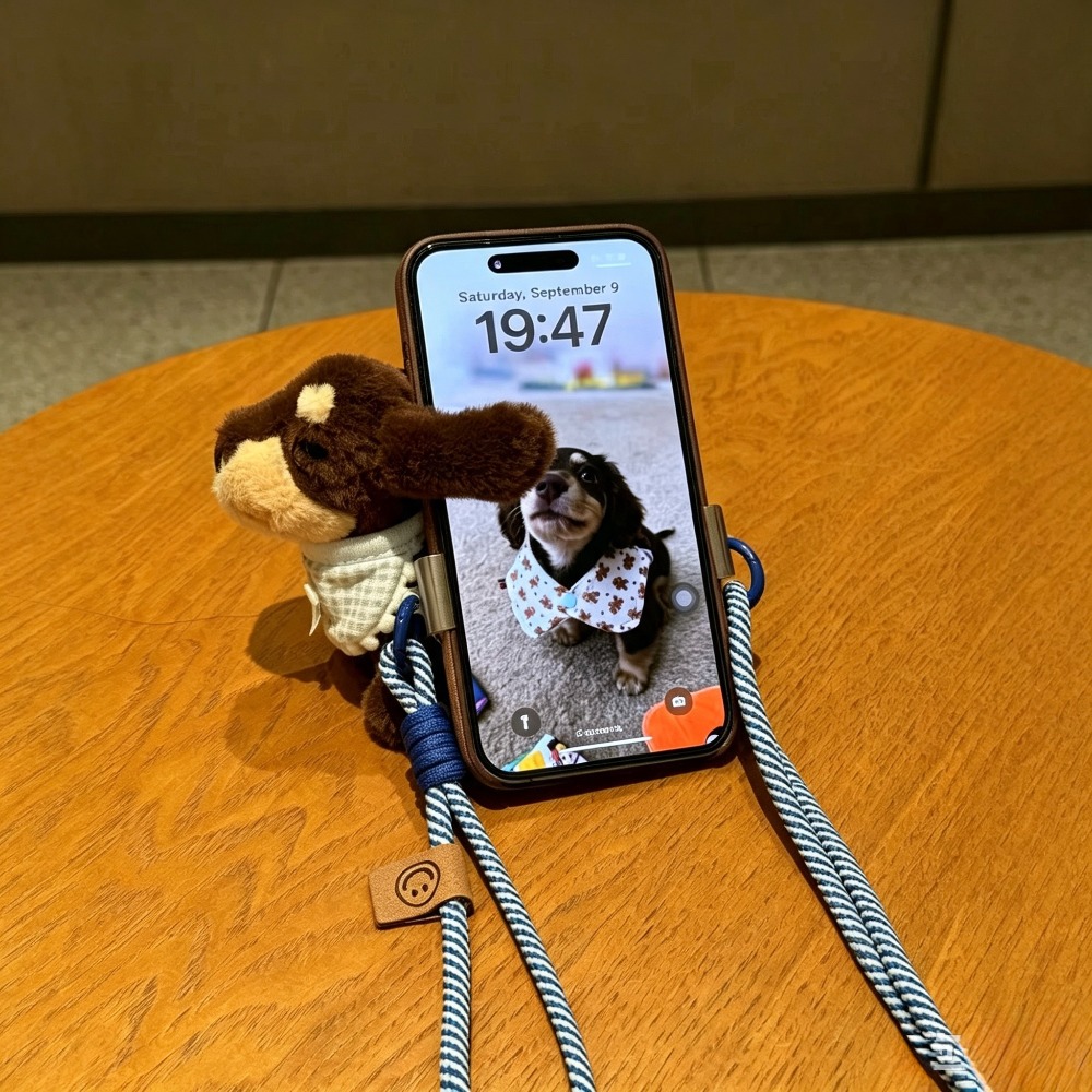 Carino Portacellulare in Peluc - Phone Accessories Cute recensione e prezzo